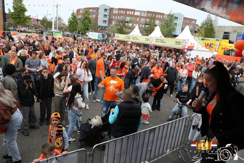 zaan2934-standard.jpg