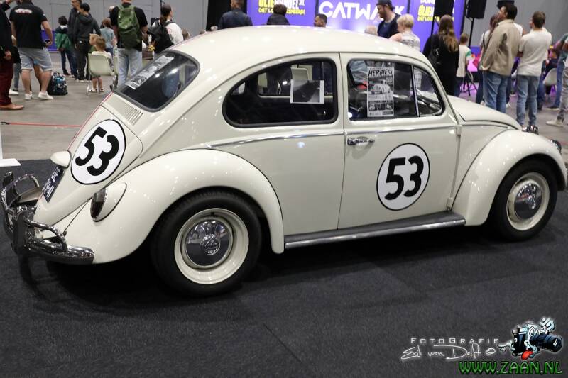 zaan3035-standard-odrshe.jpg