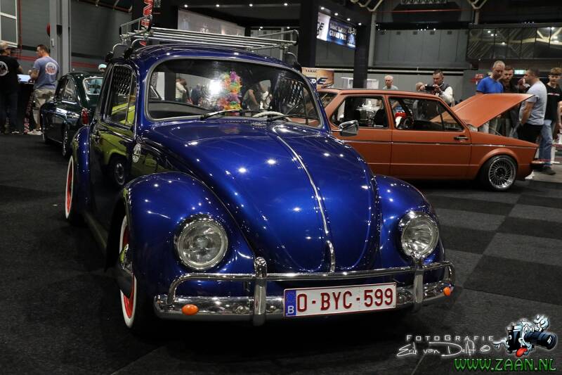 zaan3077-standard-p3zhoh.jpg