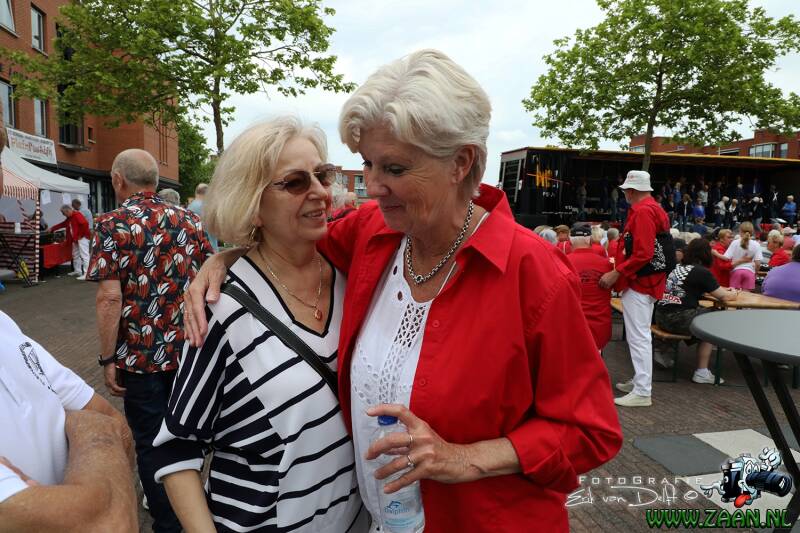 zaan3277-standard-9kdkbg.jpg