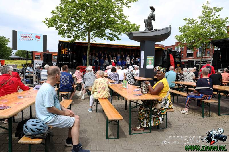 zaan3285-standard-oehjjf.jpg
