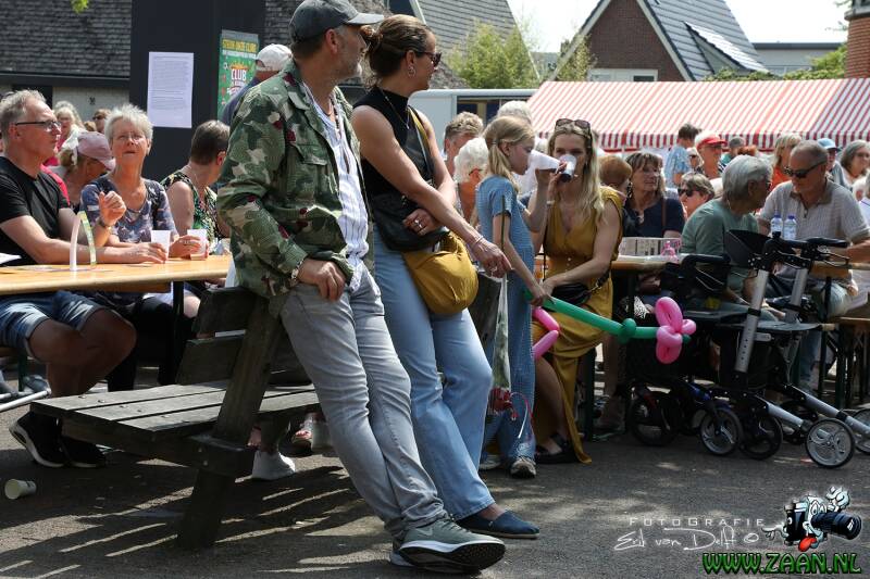 zaan3382-standard.jpg