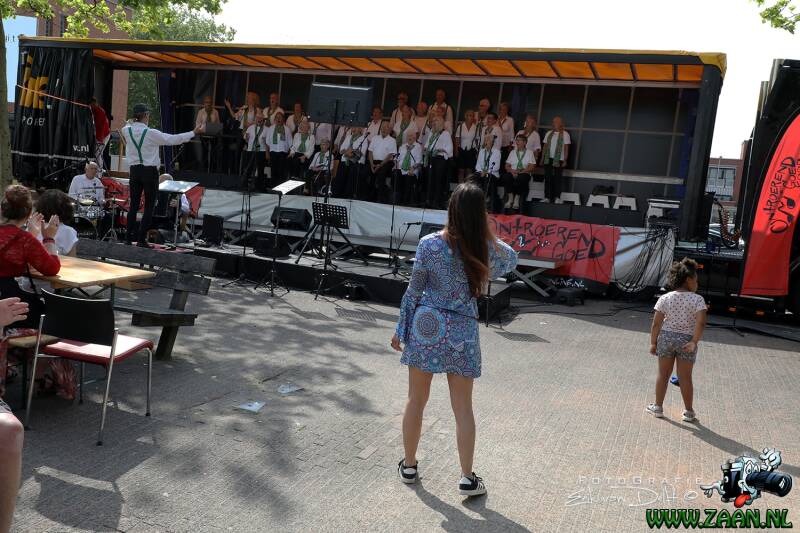 zaan3423-standard-x6iu12.jpg