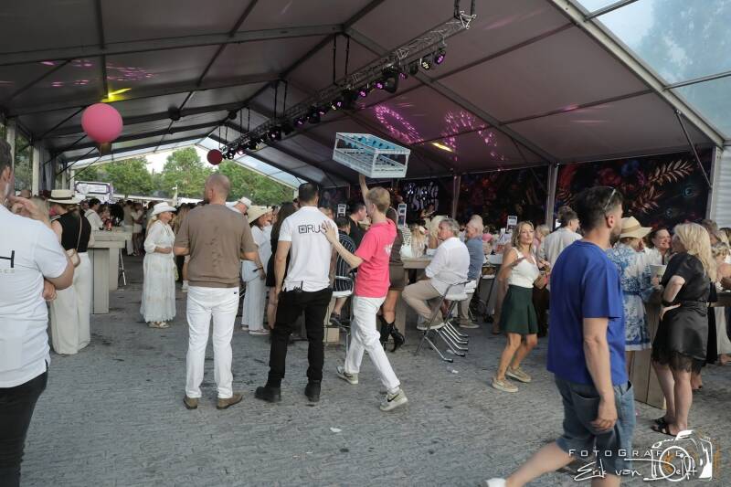 zaan3899-standard.jpg