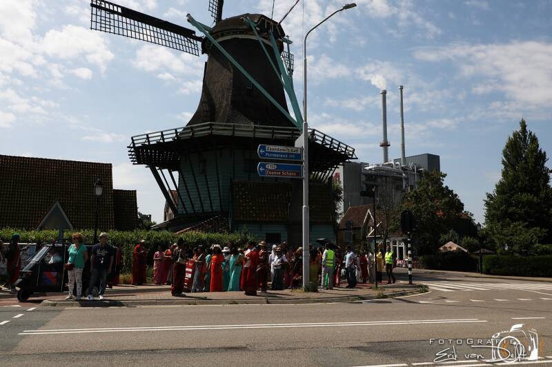 zaan4476-standard.jpg