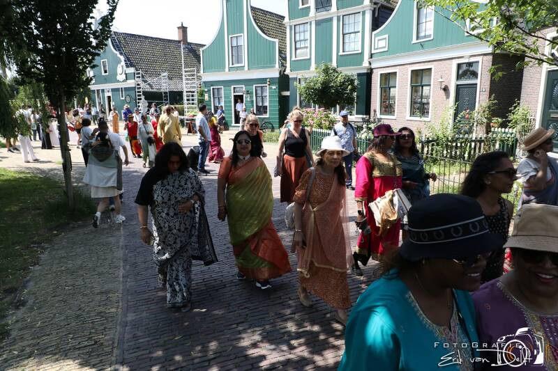 zaan4481-standard.jpg