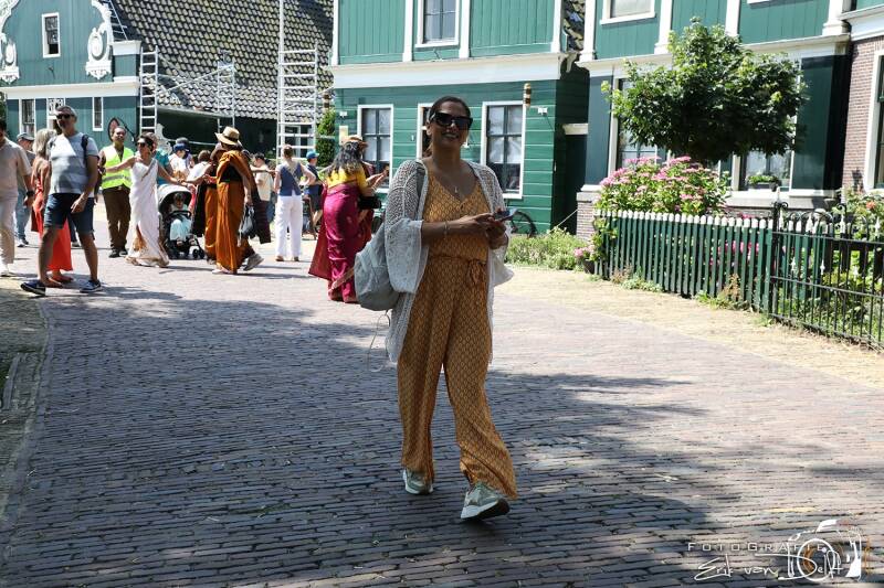 zaan4484-standard.jpg
