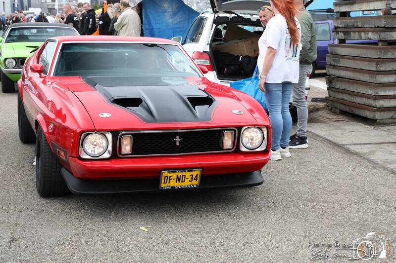 zaan5779-standard.jpg