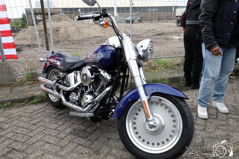 zaan5789-standard-5slmg9.jpg