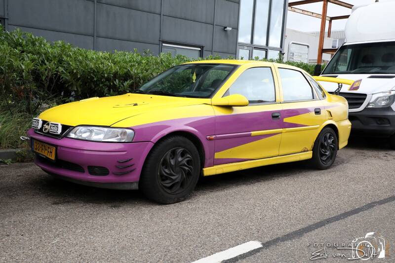 zaan5798-standard-rzedkr.jpg