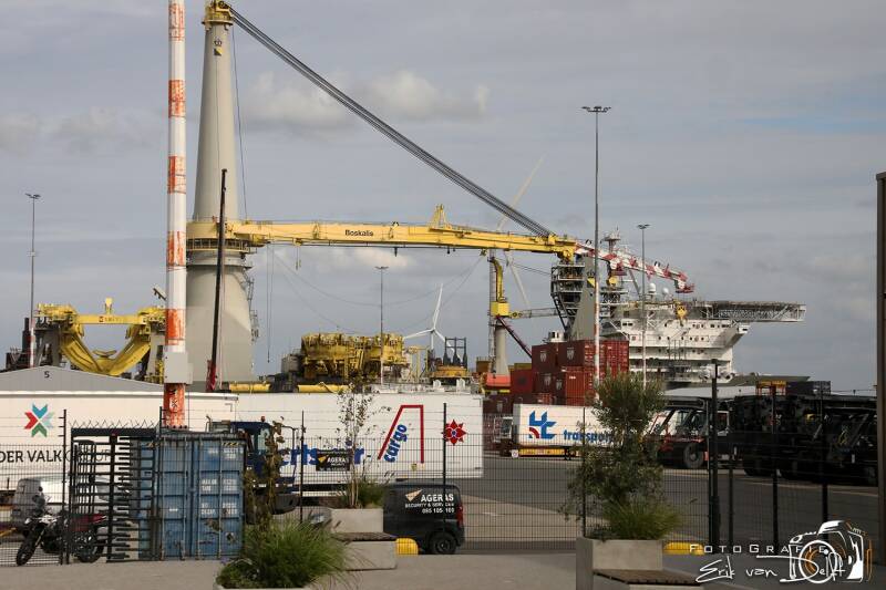 zaan5954-standard.jpg