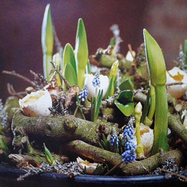 Workshop Voorjaar/pasen 