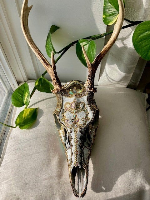 Crâne de cerf ou d'orignal sertie de perles ou de pierres