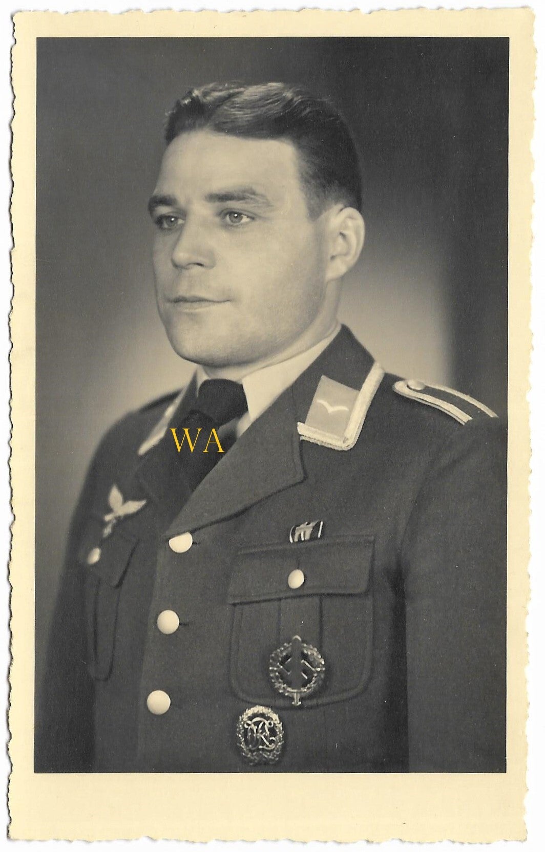 Luftwaffe portrait with DRL-Abzeichen, SA-Sportabzeichen and batton on chest. (1941)