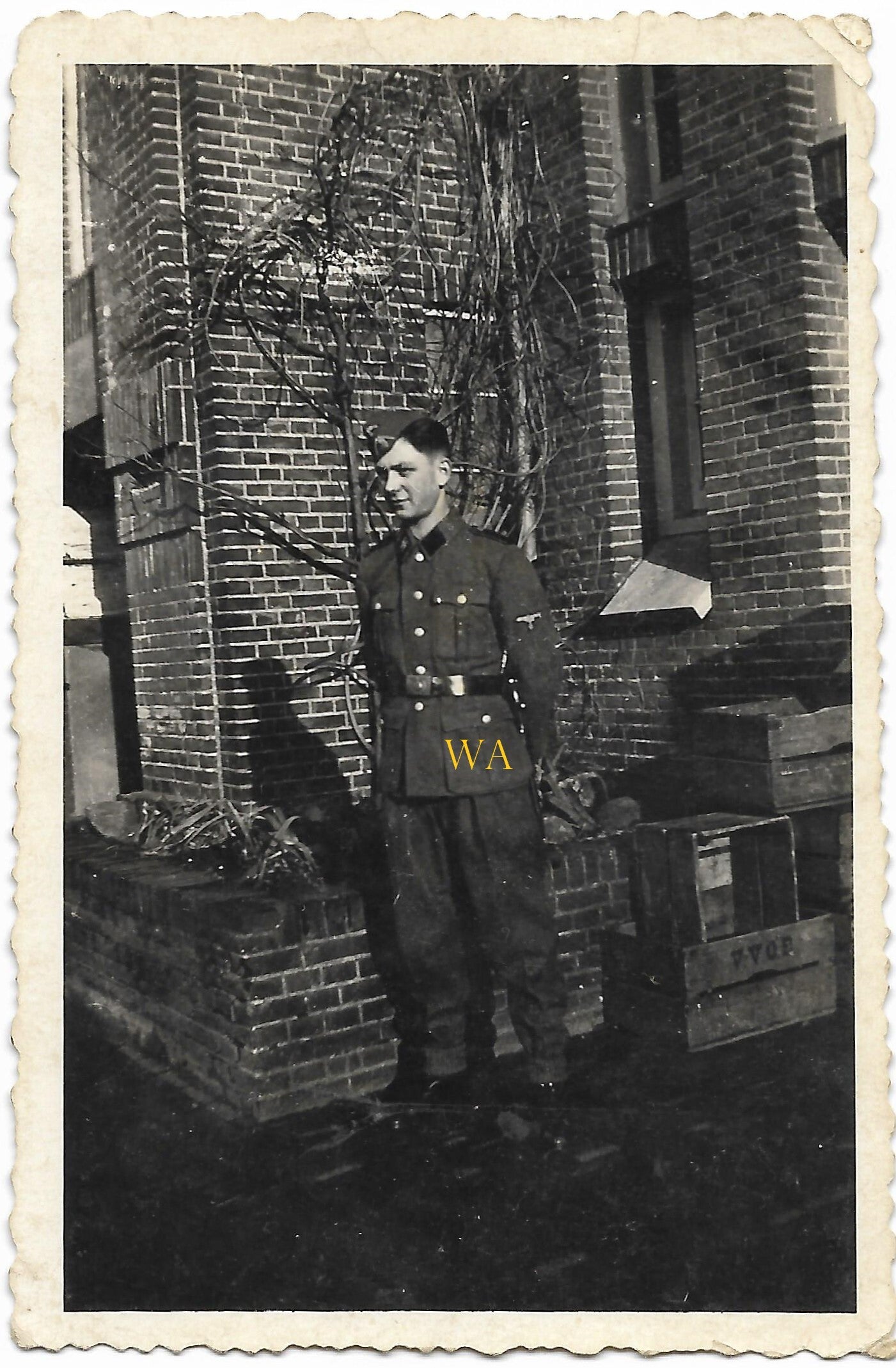 SS soldier poses for the camera, Hilversum 1943