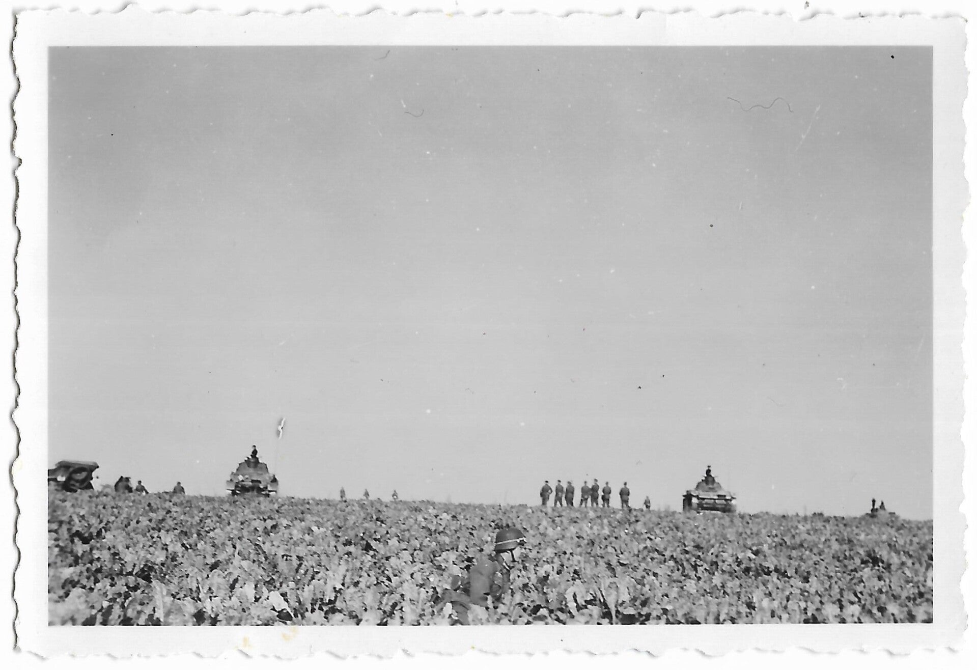German Panzer III tanks on exercise