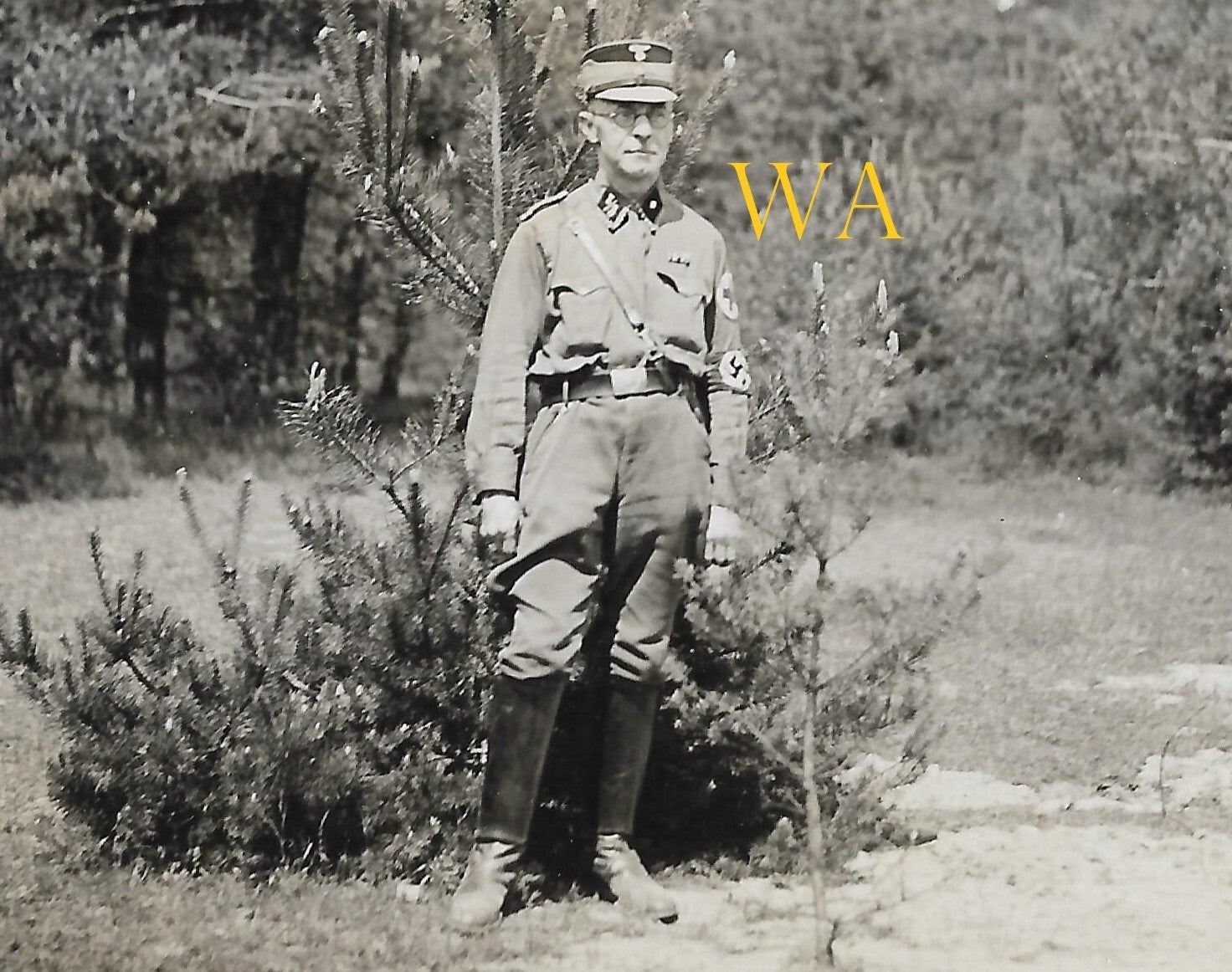 Photograph of an SA-Scharführer with Sturmbann/Listungsnummer on his collar patch.
