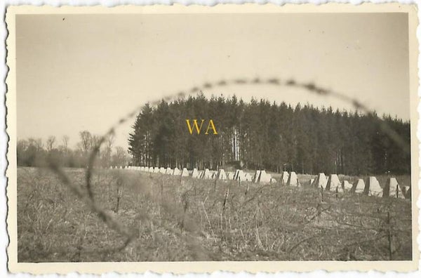 Westwall with barbed wire and dragon's teeth