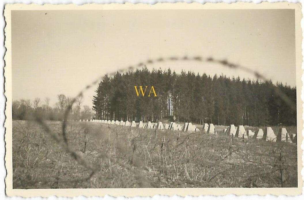 Westwall with barbed wire and dragon's teeth
