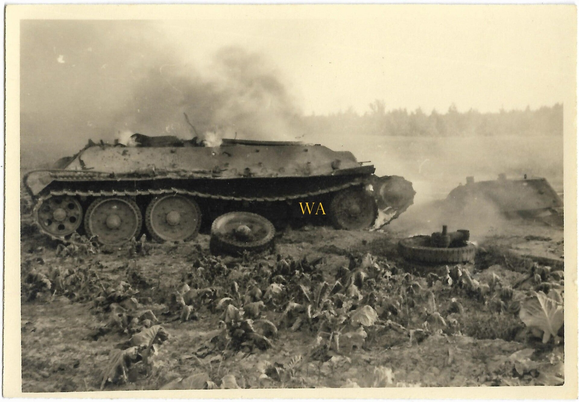 Destroyed T-34 Tank (Russian Battlefields)