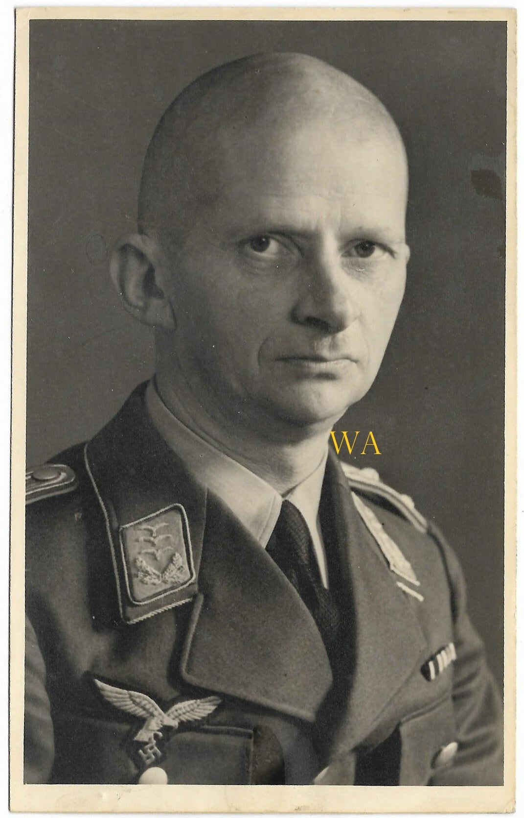 Portrait photo of a Luftwaffe hauptmann