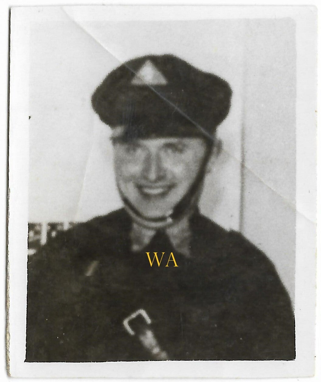 Passport photograph of an NSB member in full uniform.