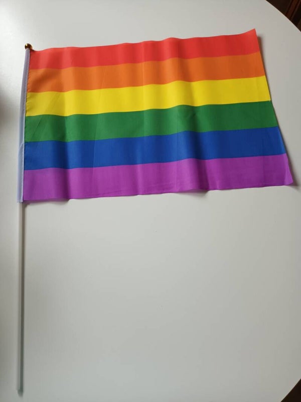 Regenboogvlag klein 45x31