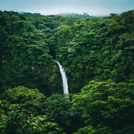 fabio-fistarol-8iychd8zzyc-unsplash-standard.jpg