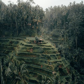 radoslav-bali-ca3d4fydf84-unsplash-standard.jpg