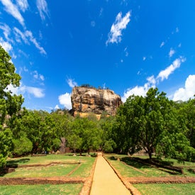 shashank-hudkar-kybc1eq0djo-unsplash-standard-wb1yak.jpg