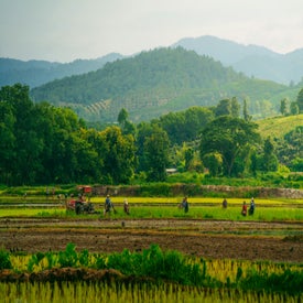 wathanyu-chomchuen-azychvxbwgw-unsplash-standard.jpg