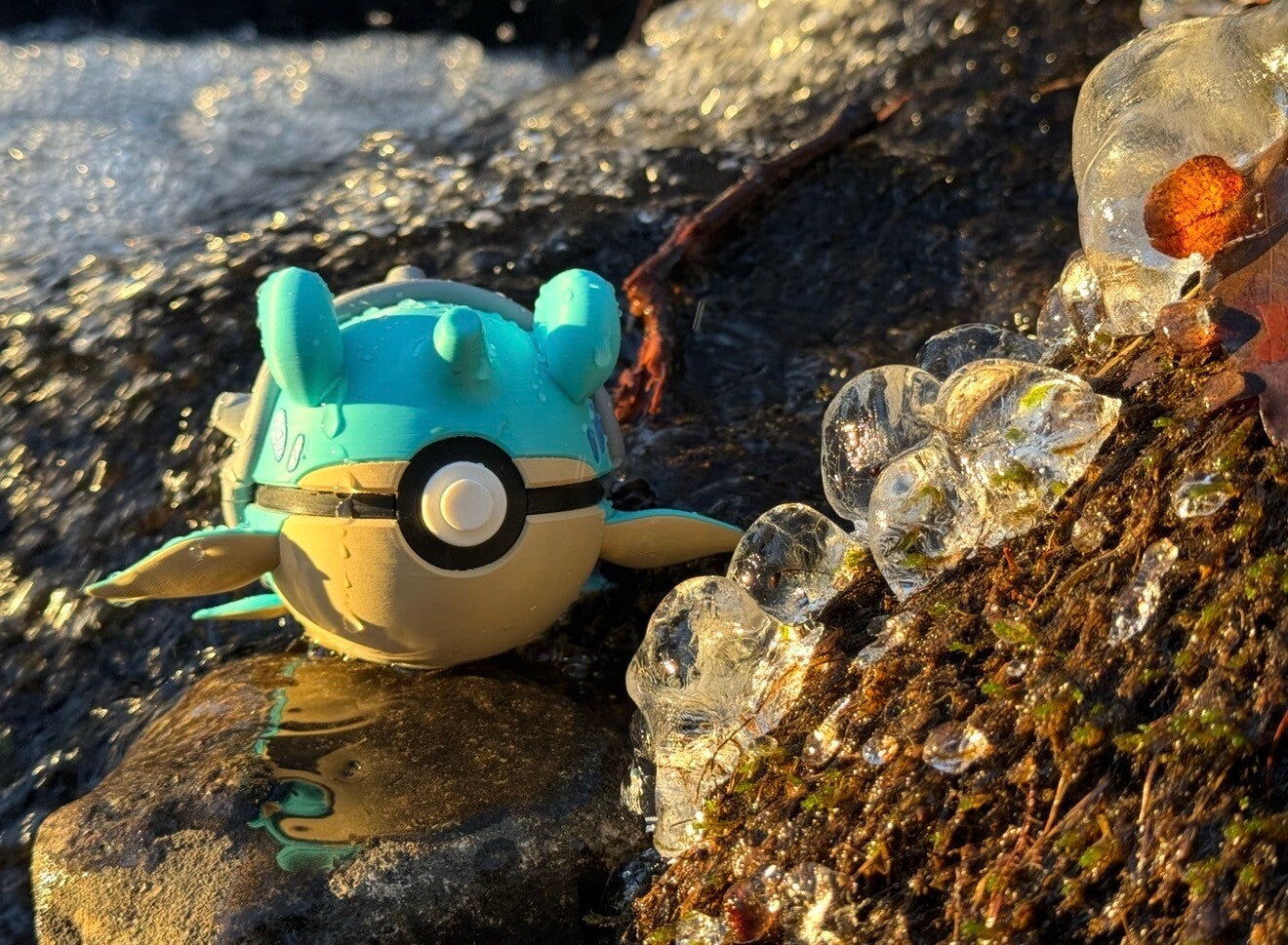 🌊🐚 Gentle Sea Voyager 🐚🌊