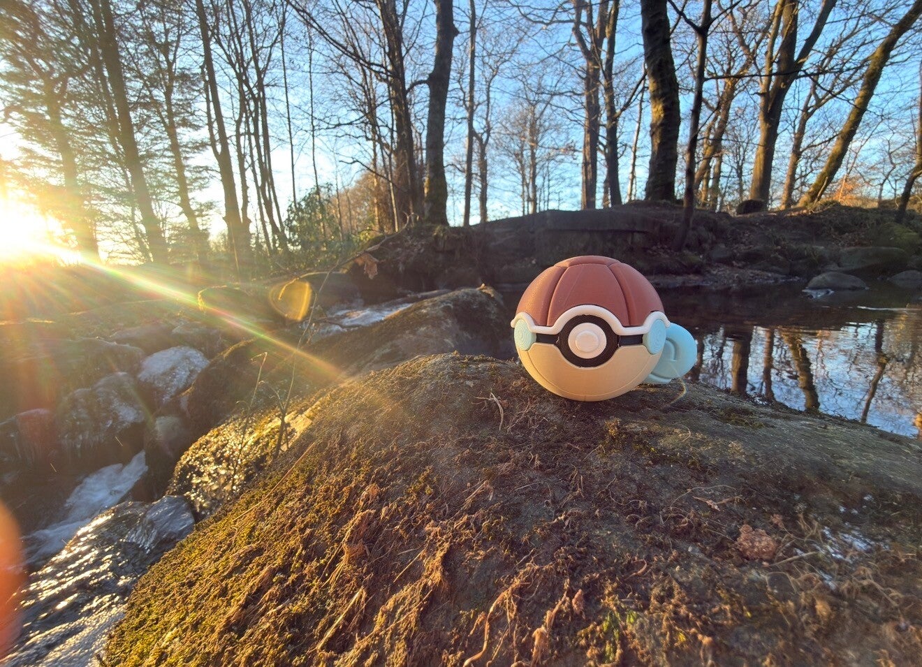 🐢💧 Tiny Shell Sprinter 💧🐢