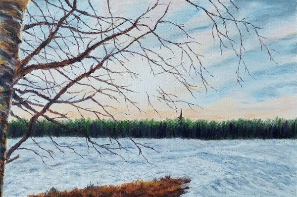 Winter Field