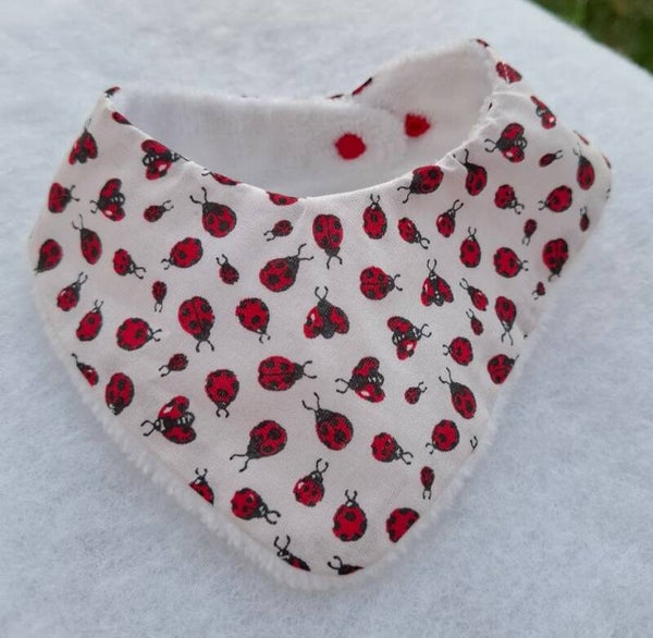BAVOIR NAISSANCE COCCINELLES
