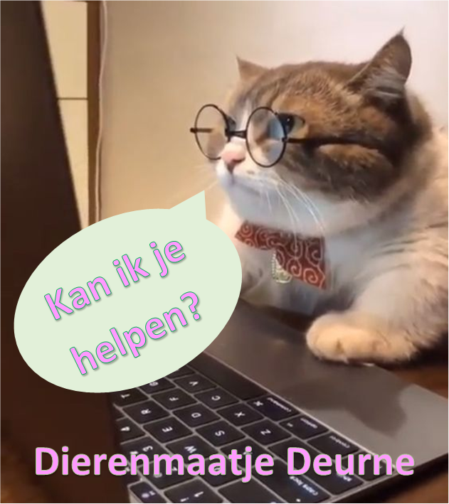 Dierenmaatje Deurne