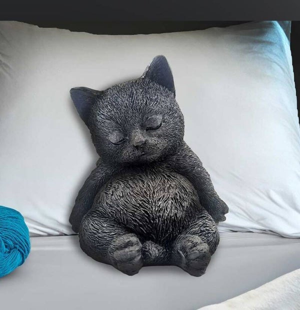 Sleeping cat
