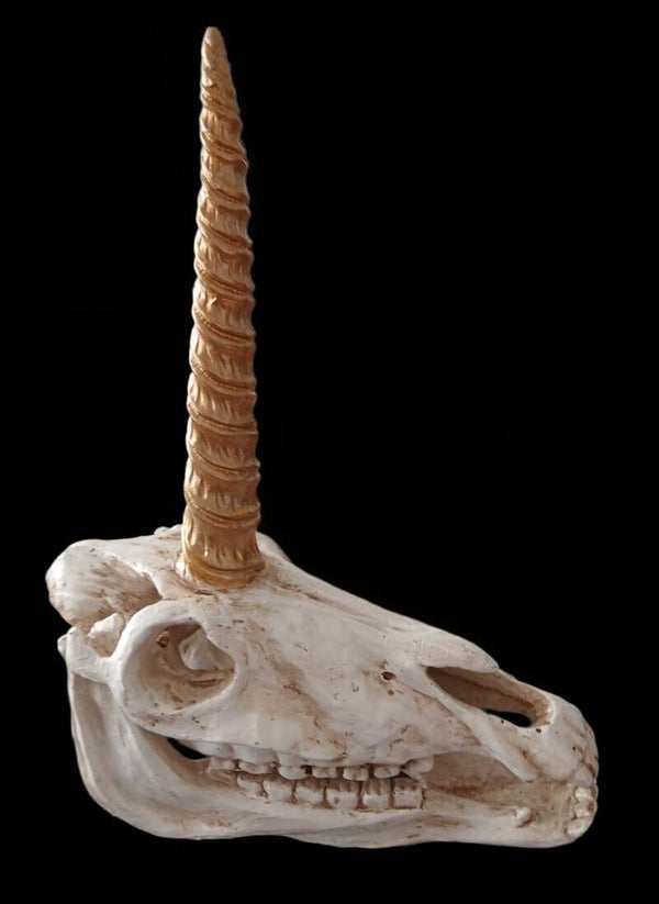 Unicorn Skull