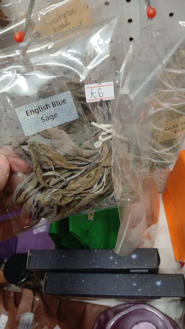 English Blue sage