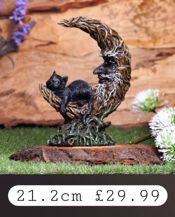 Black cat sitting on Crescent greenman tree moon