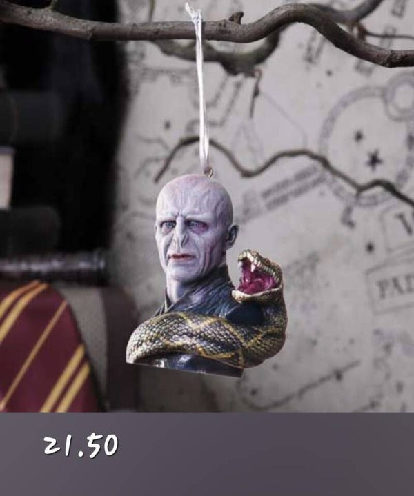 Harry potter lord Voldemort