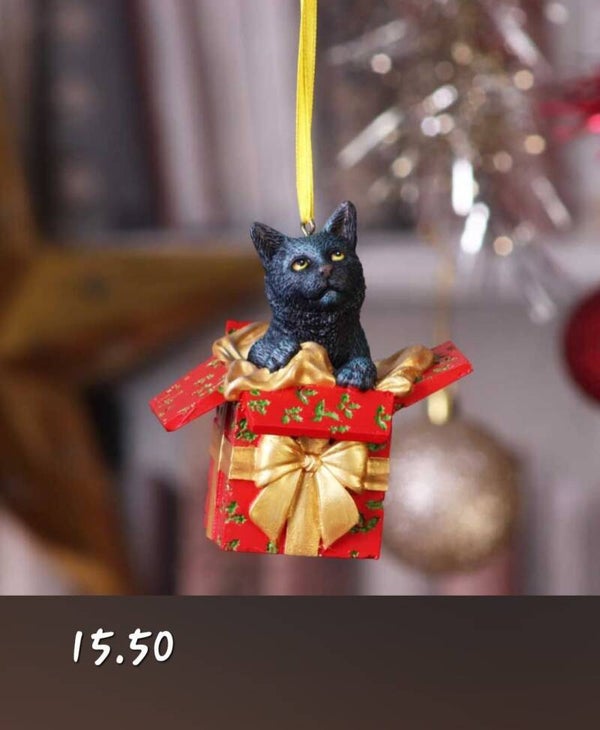 NEMESIS now present cat