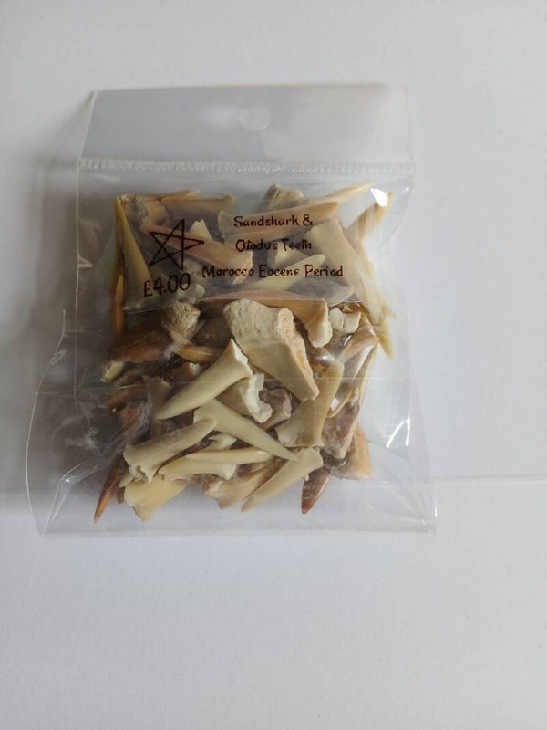 Sand shark & ododus teeth