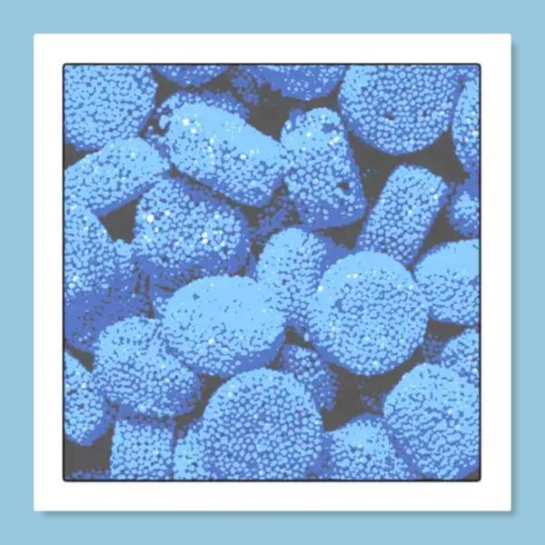 Matthijs anijs buttons blauw 200 gram