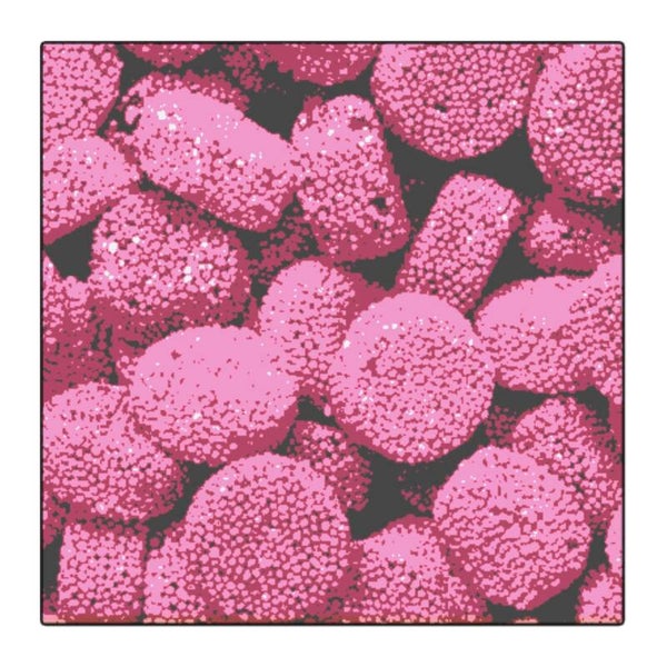 Matthijs anijs buttons roze 200 gram