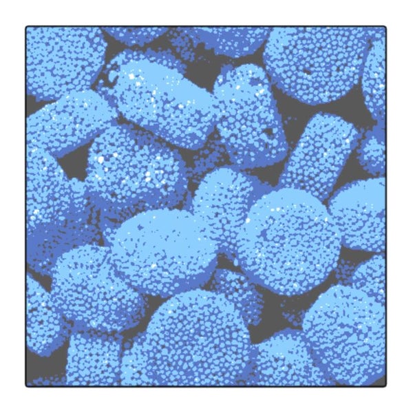 Matthijs anijs buttons blauw 200 gram
