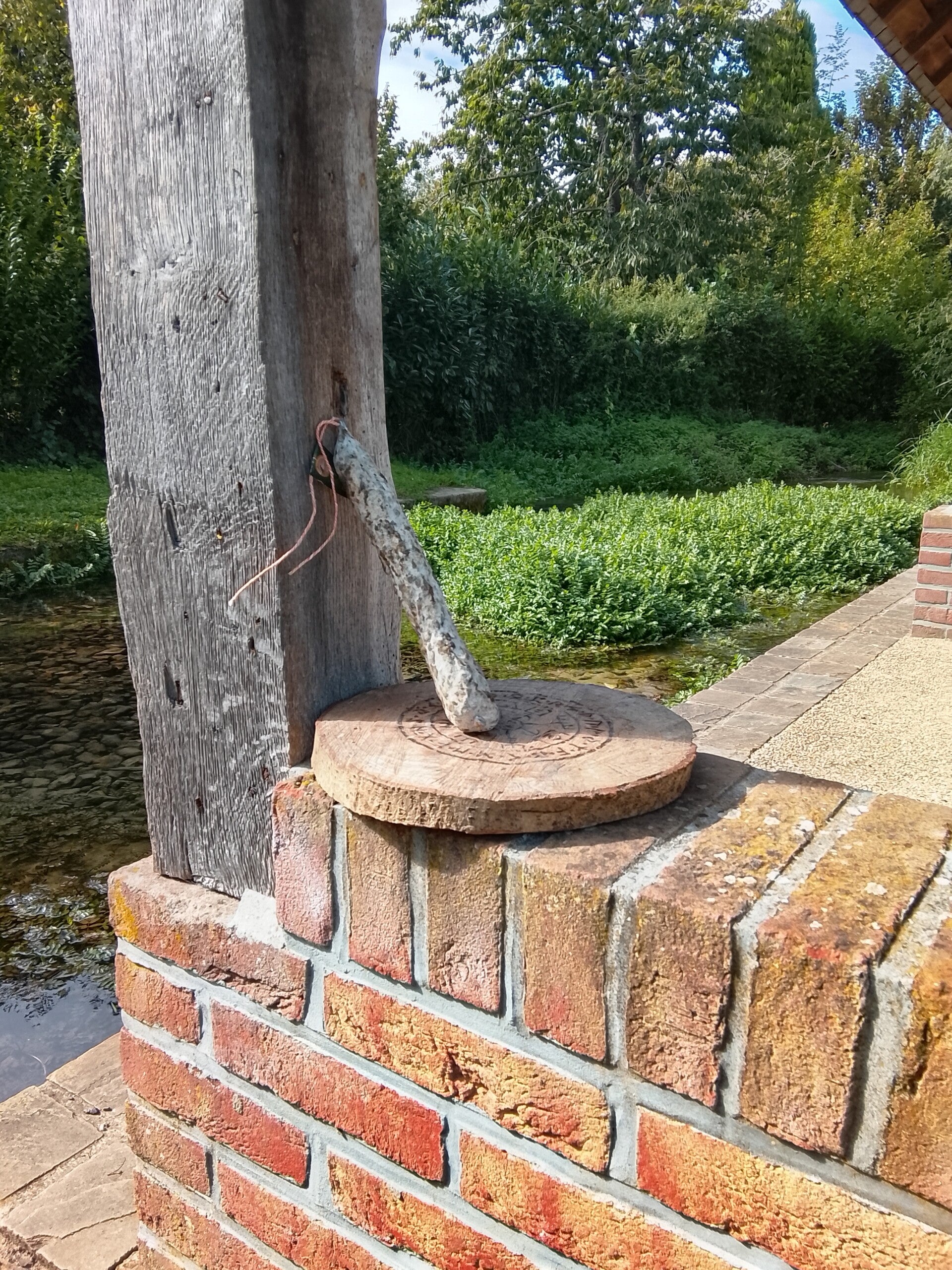 🌿 SAUCISSON AIL DES OURS "VIDAR LE MYSTIQUE"