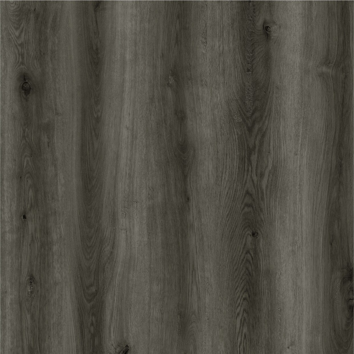 Charcoal - Sample - Easy SPC