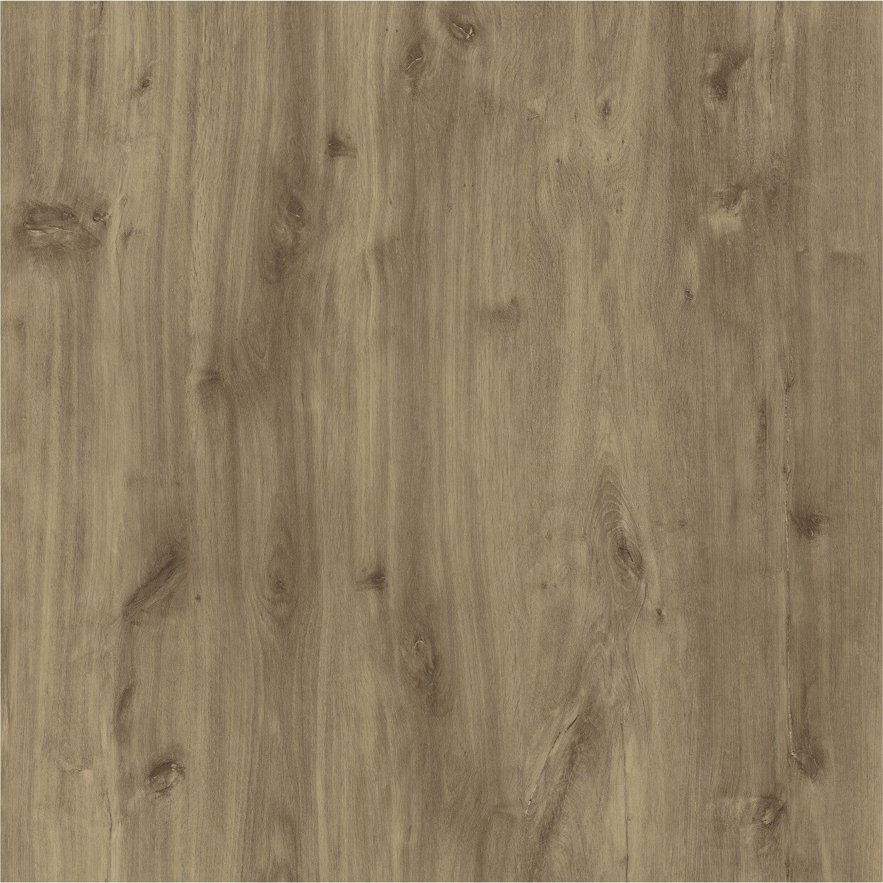 Hazelnut - Sample - Easy SPC