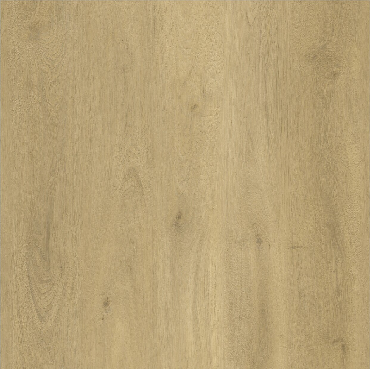 Zen - Sample - Easy SPC